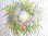 Photo3: Blank Cards - Wreath (3)