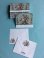 Photo1: Blank Cards - Garden Floral (1)