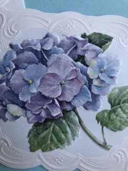 Photo2: Blank Cards - Blue Hydrangea